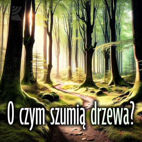 O czym szumią drzewa? Klon, Jawor