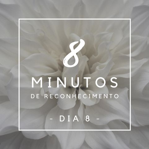 8 Minutos de Reconhecimento - Dia 8