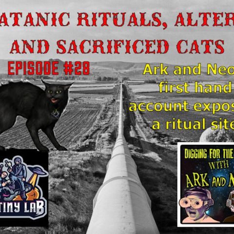 True account of satanic rituals, altars and sacrificed cats! Digging for the Truth #28