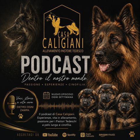 Podcast Cover
