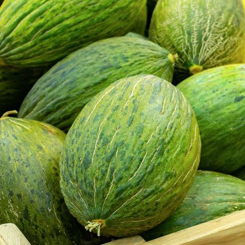 Incertidumbre con la campaña del melón y la sandía: buena calidad pero malas perspectivas