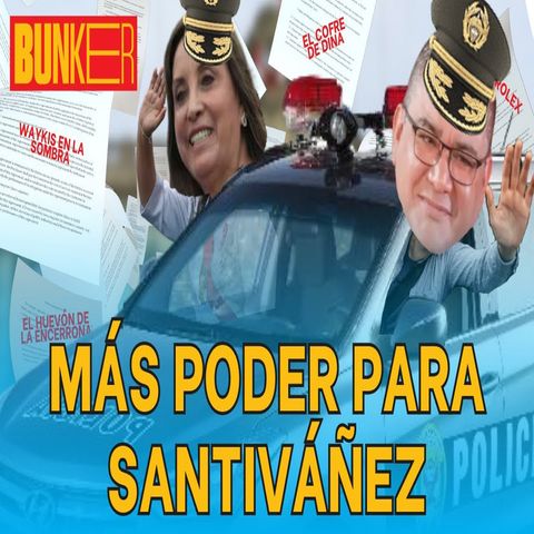 DINA SE INVESTIGARÍA A SÍ MISMA