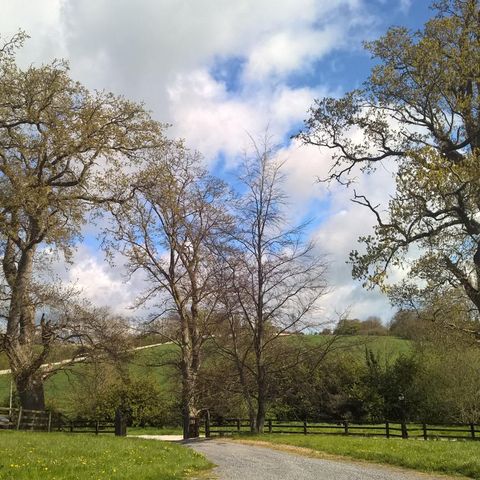 First Knocklofty Walkabout