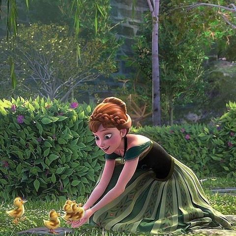 princess and the wild duck