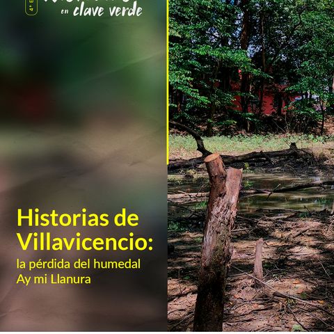 Historias de Villavicencio: la pérdida del humedal Ay mi Llanura