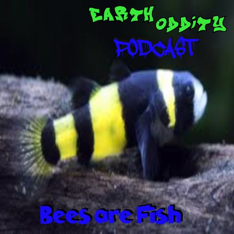 Earth Oddity 223: Bees are Fish