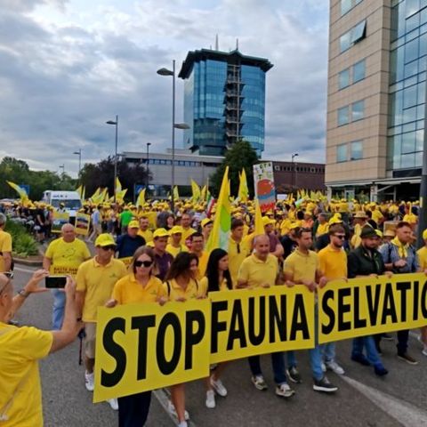 Coldiretti in marcia a Mestre: “Lupi aumentati del 300% nel Vicentino: stop alla fauna selvatica”