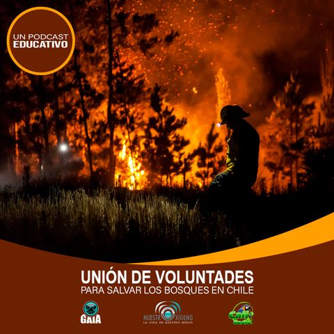 NUESTRO OXÍGENO Unión de voluntades para salvar los bosques en chile