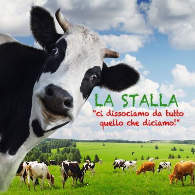 La Stalla #60