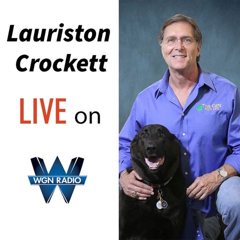 Can dogs be used to detect the Coronavirus? || 720 WGN Chicago || 5/29/20
