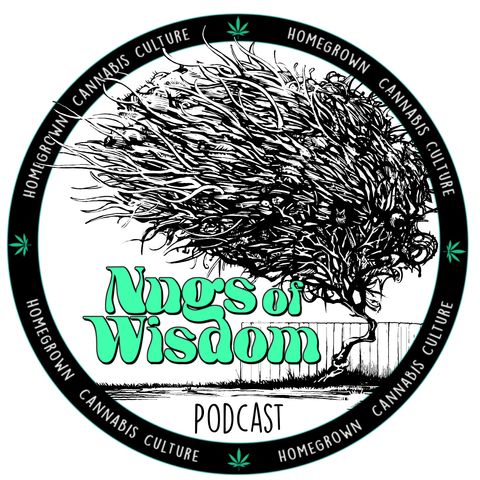 Nugs of Wisdom Podcast Ep 02: Nugs From Mass Medical Strains