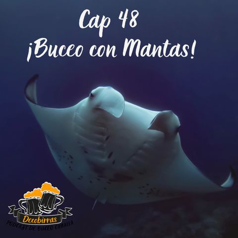 Cap 48 Buceo con Mantas