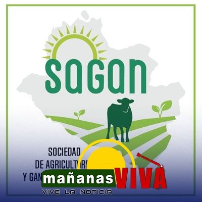 Director de Sagan rechaza invasión a predios ganaderos en Guachucal y pide diálogo con comunidades indígenas