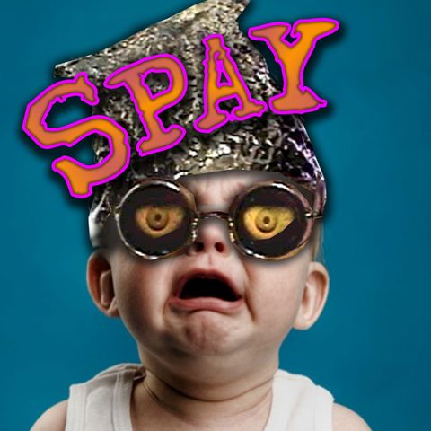 Doctor I. M. Paranoid "Spay 2017"