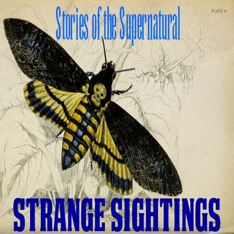 Strange Sightings | Interview with Al Santariga | Podcast