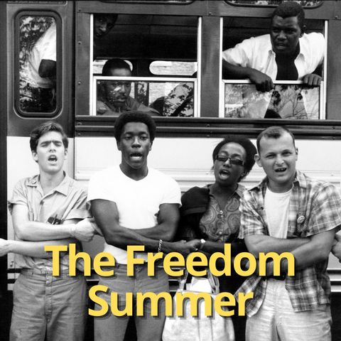 The Freedom Summer Project