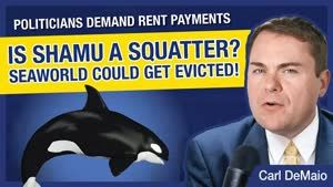 CA Politicians Are Hypocrites for Suing SeaWorld for Unpaid Rent