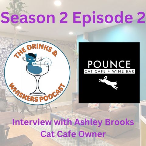S2E2: Interview with Cat Cafe Owner, Ashley Brooks