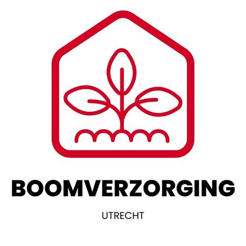 Het belang van boomverzorging voor de gezondheid van uw tuin