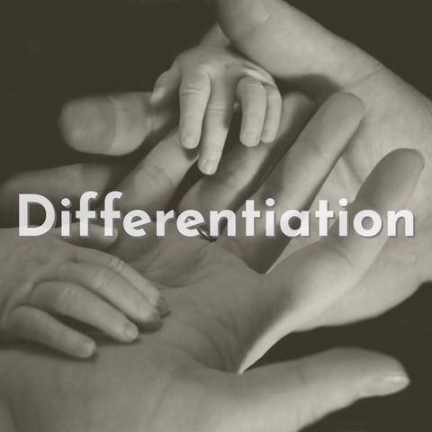 Differentiation (Rerun)