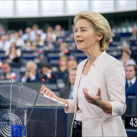 Le elezioni europee e i dati del sondaggio Ipsos per Euronews