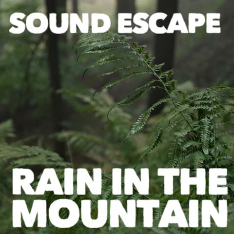 A rainy day in the mountains: 6 HOURS SOUNDSCAPE