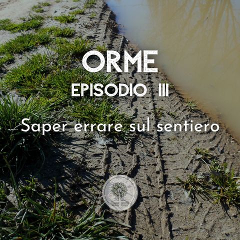Ep. 3 - "Saper errare sul sentiero" 🧭❔️