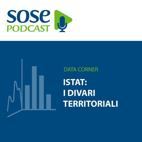 PNRR e divari territoriali: il focus Istat