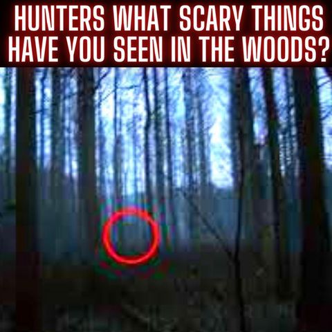 Hunters, What Scary Things Have You Seen In The Woods?