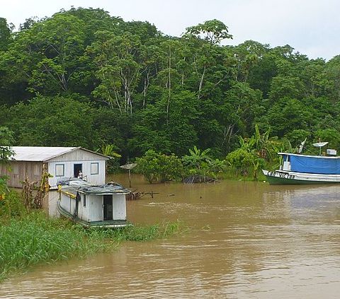 Il clima può far calare del 70% il sequestro di metano in Amazzonia