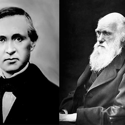 200 - Contro Darwin già a fine Ottocento
