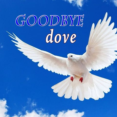 Goodbye Dove, Genesis 8:10-13