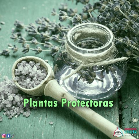 Plantas Protectoras