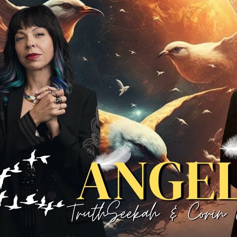 Unveiling the Secrets of Angelic & Avian Encounters | Corin Grillo & TruthSeekah