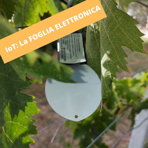 15 - IoT: La Foglia Elettronica!