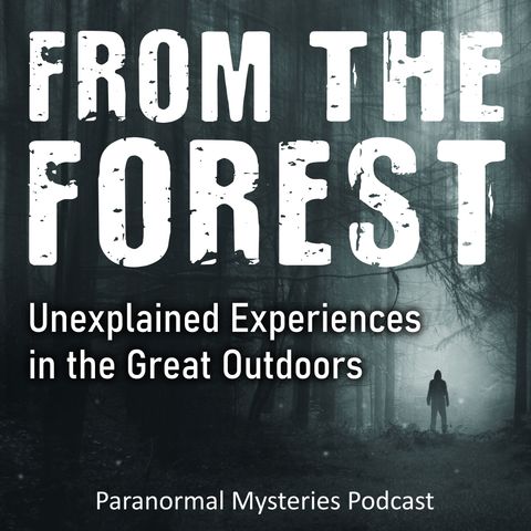 193: Taken By The Forest, Alien Bigfoot, Dogman & Invisible Creatures