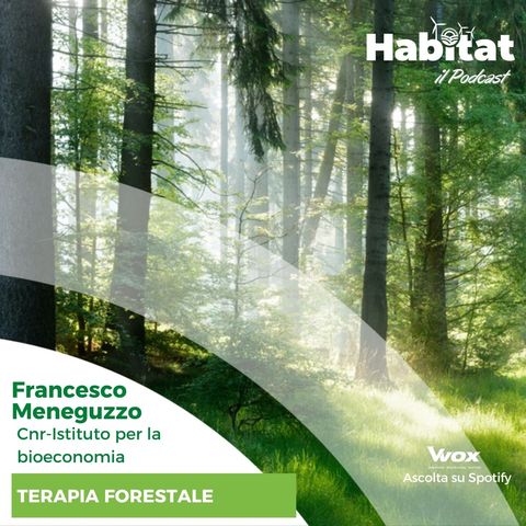 Terapia Forestale (Francesco Meneguzzo - Cnr Istituto per la bioeconomia)