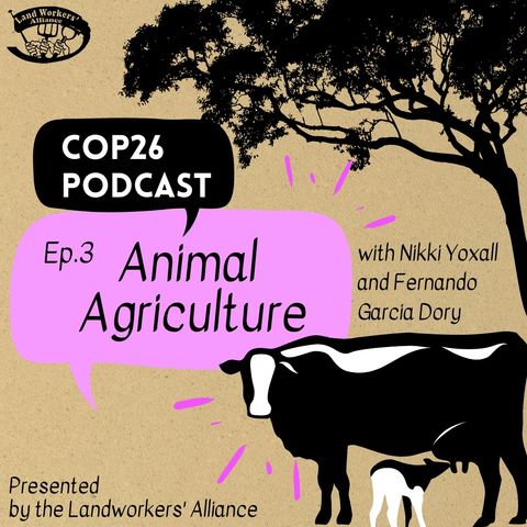 Animal Agriculture: Climate Justice at COP26