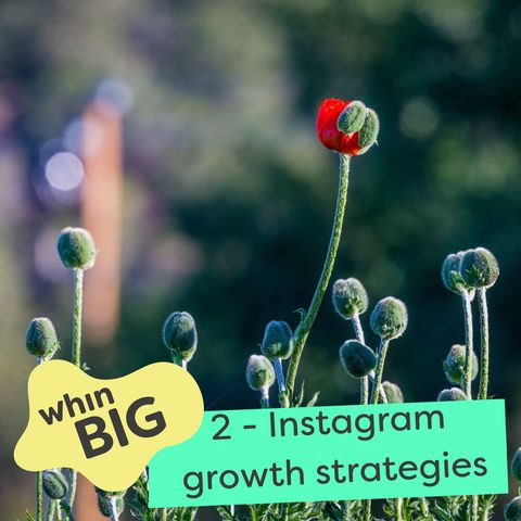 2 - Free Instagram tactics to grow your reach