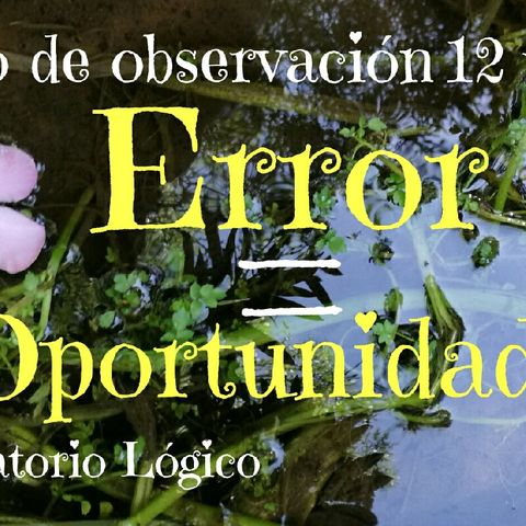 Error = Oportunidad= Apertura Temporal