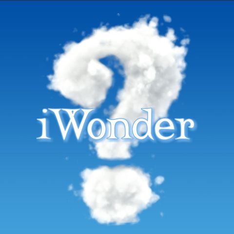 Wonder's Weekend Special - Genius begins with Wonder; Wit ends with it.
