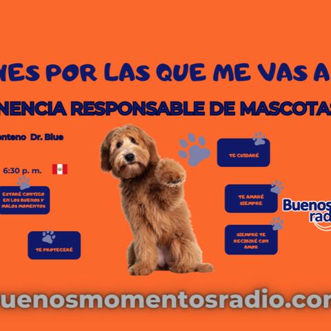 🔴 T2E3 Conect@dos Contigo - Tenencia responsable de mascotas
