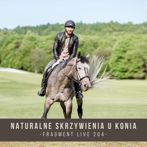 Naturalne skrzywienie u konia - fragment live 204