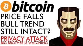 Bitcoin Price Falls- Bull Trend Still Intact MASSIVE Privacy Attack