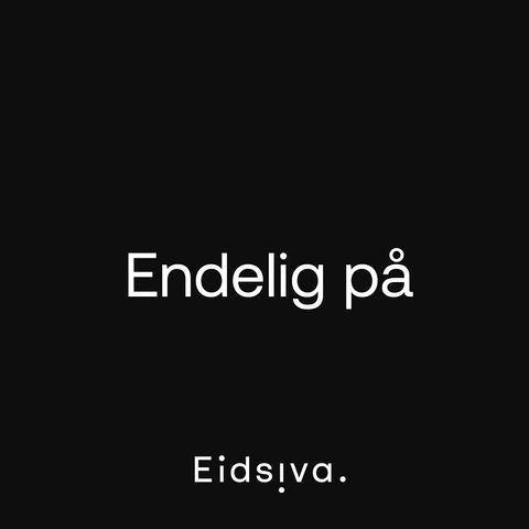 Endelig PÅ: Kjetil Wold fra ANTI har utviklet Eidsivas nye logo
