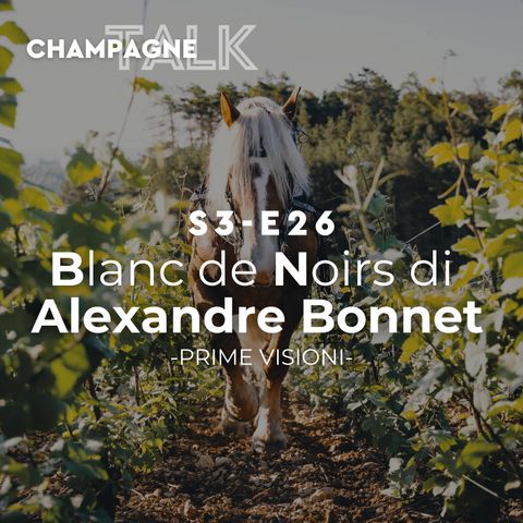 S3 E26 - Prime Visioni, Il Blanc de Noirs di Alexandre Bonnet