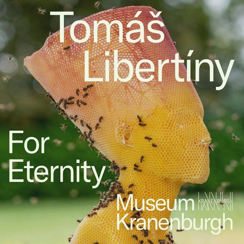 Tomáš Libertíny - For Eternity