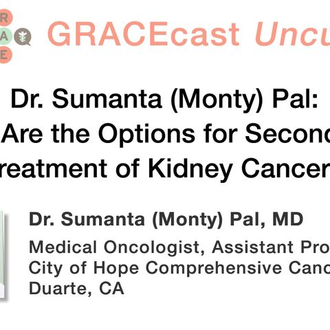 Dr. Sumanta (Monty) Pal: What Are the Options for Second Line Treatment of Kidney Cancer?