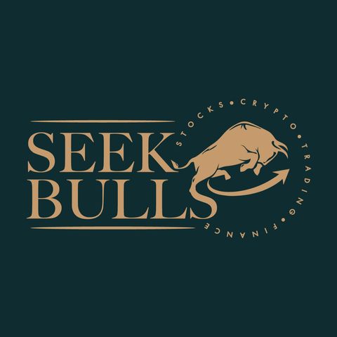 Seekbulls - Clubhouse Session 2 - "4 Basic Options Strategies + Investment Mindset"