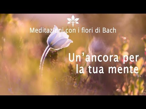 CSP - Meditazione del respiro con i Fiori di Bach - Un Ancora per la Mente